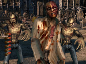 House of the Dead 2&3 - Wii