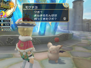 Final Fantasy Crystal Chronicles : My Life As King - Wii