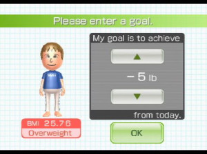 Wii Fit - Wii