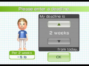 Wii Fit - Wii