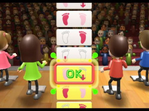 Wii Fit - Wii