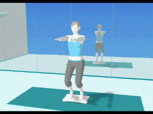 Wii Fit - Wii