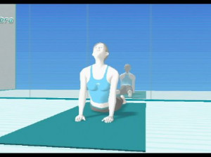 Wii Fit - Wii