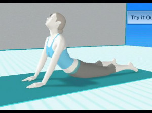 Wii Fit - Wii