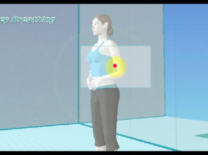 Wii Fit - Wii