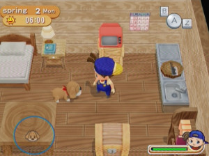 Harvest Moon : Magical Melody - Wii