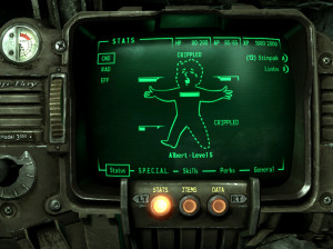 Fallout 3 - PC