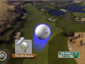 Tiger Woods PGA Tour 09 - Wii