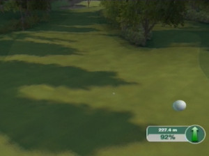 Tiger Woods PGA Tour 09 - Wii