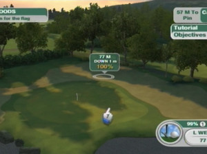 Tiger Woods PGA Tour 09 - Wii