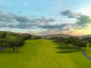 Tiger Woods PGA Tour 09 - Wii