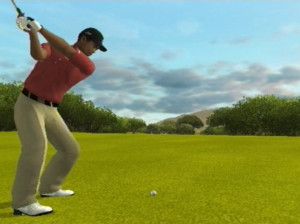 Tiger Woods PGA Tour 09 - Wii