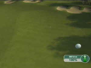 Tiger Woods PGA Tour 09 - Wii