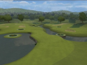 Tiger Woods PGA Tour 09 - Wii