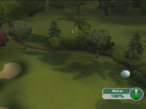 Tiger Woods PGA Tour 09 - Wii