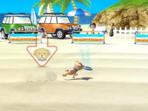 Wii Sports Resort - Wii