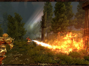 Dragon Age : Origins - PC