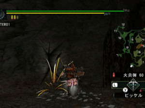 Monster Hunter G - Wii