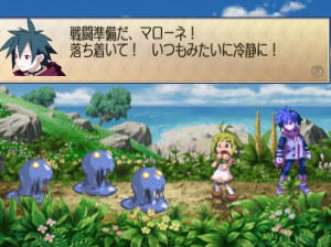 Phantom Brave - Wii