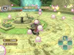 Rune Factory : Frontier - Wii