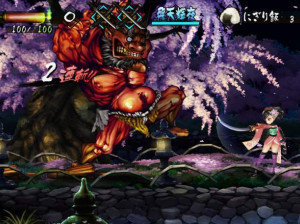 Muramasa : The Demon Blade - Wii