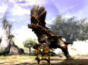 Monster Hunter 3 - Wii