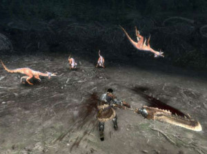 Monster Hunter 3 - Wii