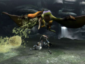 Monster Hunter 3 - Wii