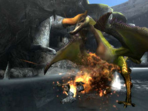 Monster Hunter 3 - Wii