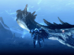 Monster Hunter 3 - Wii