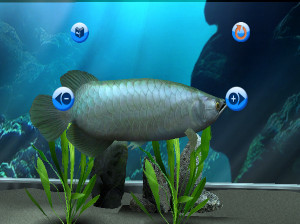My Aquarium - Wii