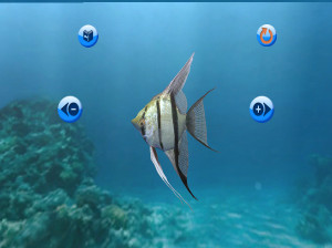 My Aquarium - Wii