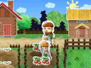 Harvest Moon : Ranch Store - Wii