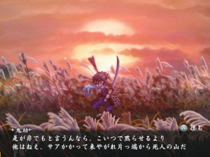 Muramasa : The Demon Blade - Wii