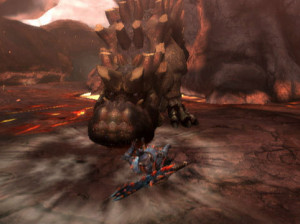 Monster Hunter 3 - Wii